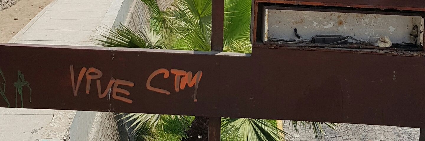 srta_mixi's profile banner image