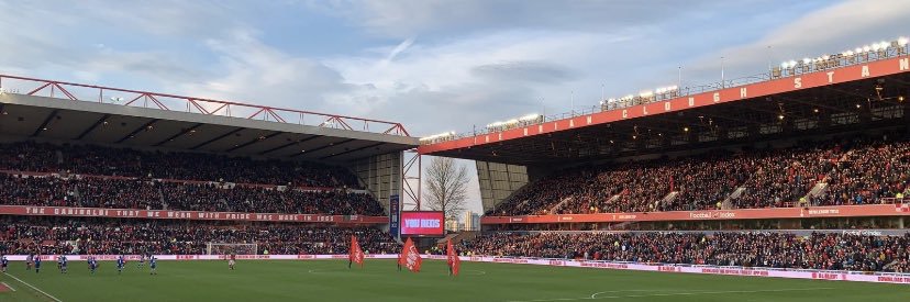 Ben Tranter ⭐️🌳⭐️ banner