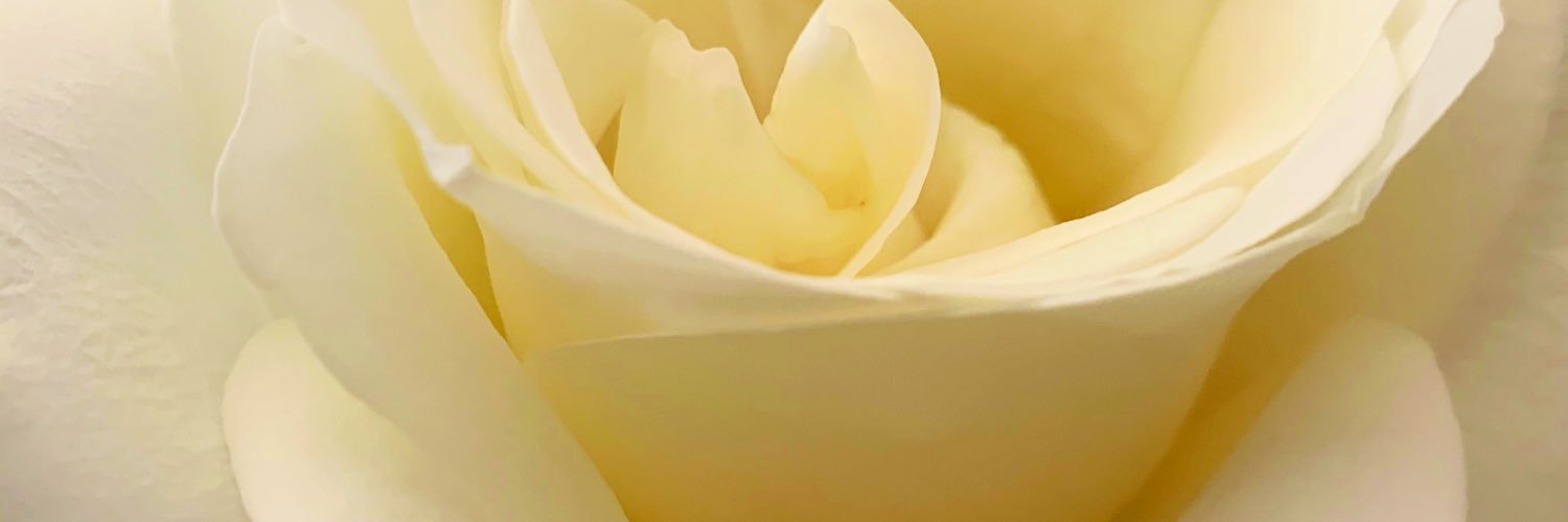 keeshadfox's profile banner image