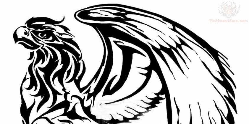 PonchoPeter's profile banner image