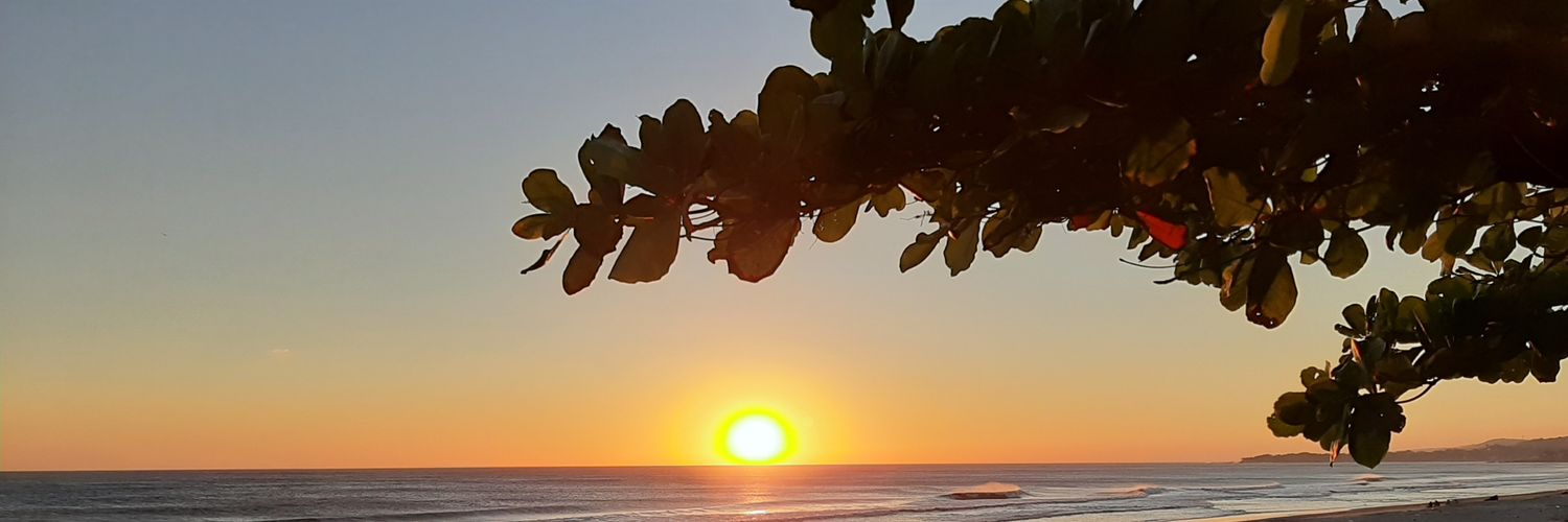 SilviaMCerna's profile banner image