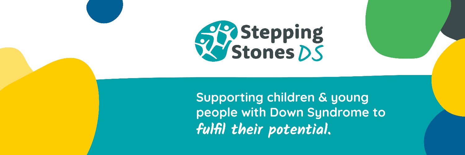 Stepping Stones DS banner