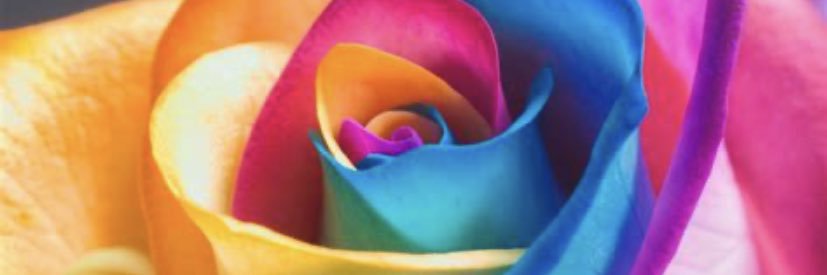 kayleigh thompson banner