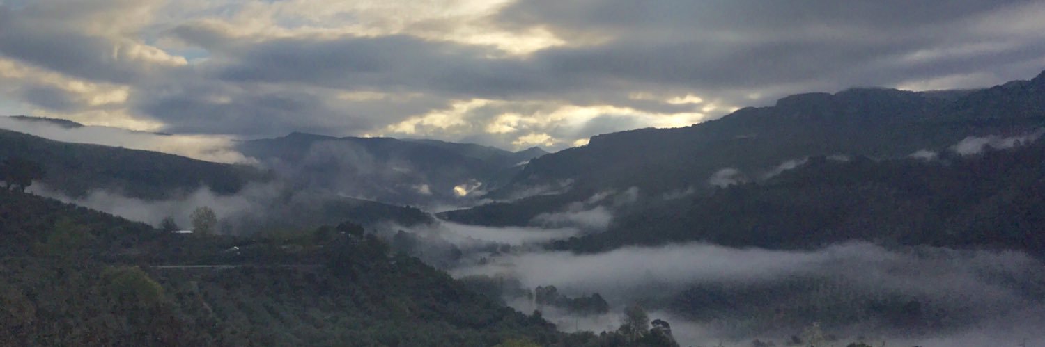 fjcl71's profile banner image