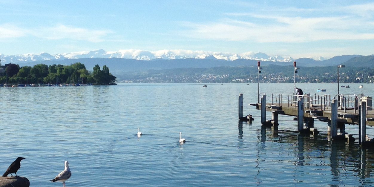 Diarmuid De Faoite banner