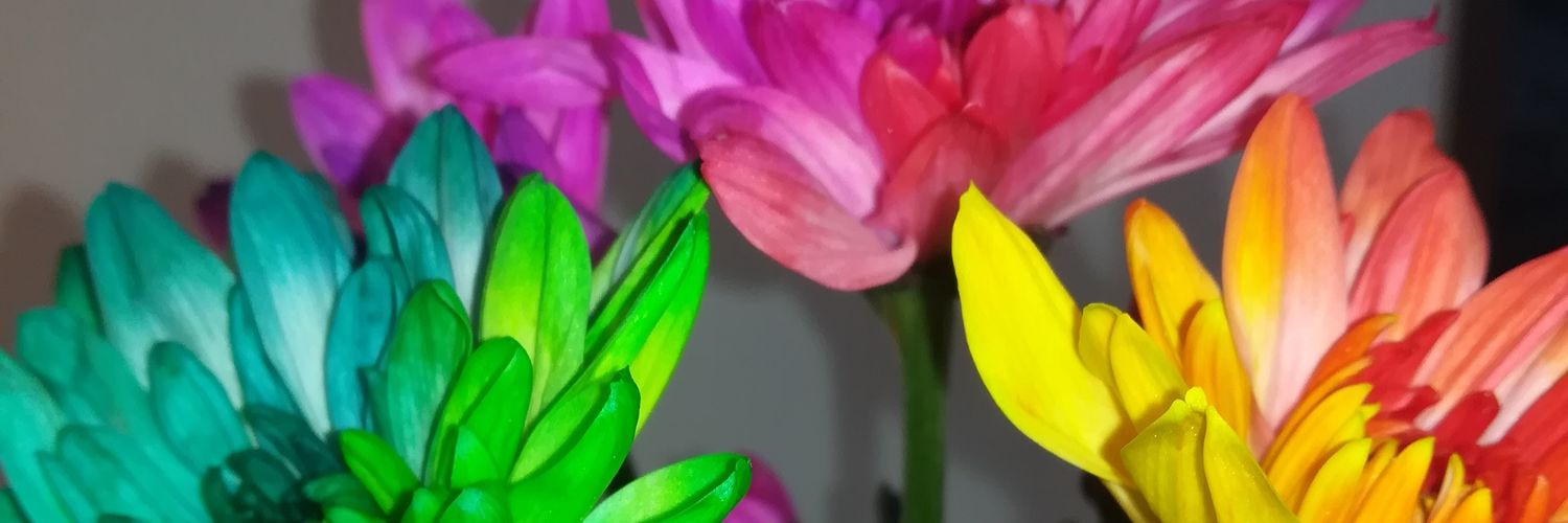 rakuruda's profile banner image