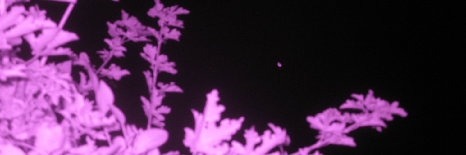 BPD_PRlNCESS's profile banner image