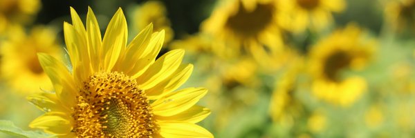 DesMoinesParks Profile Banner