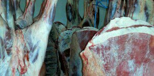 J B Wilkinsons Otley banner