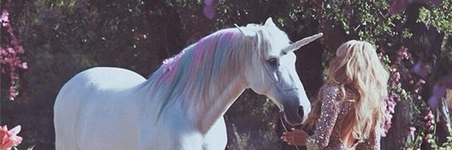 AnuarForest's profile banner image