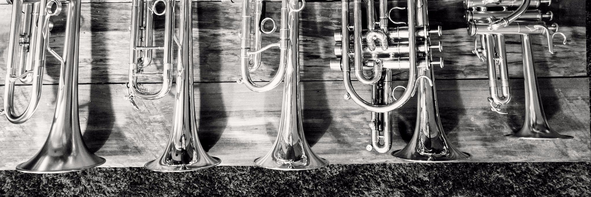 Roger Levering banner