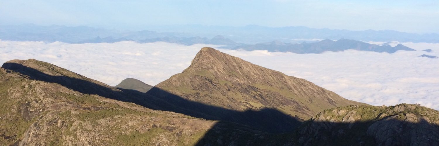 weberrangel's profile banner image
