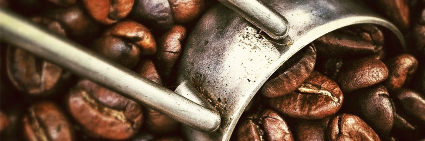 PRIMALABS banner