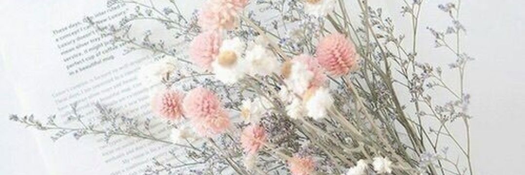 LiLHippyLady's profile banner image