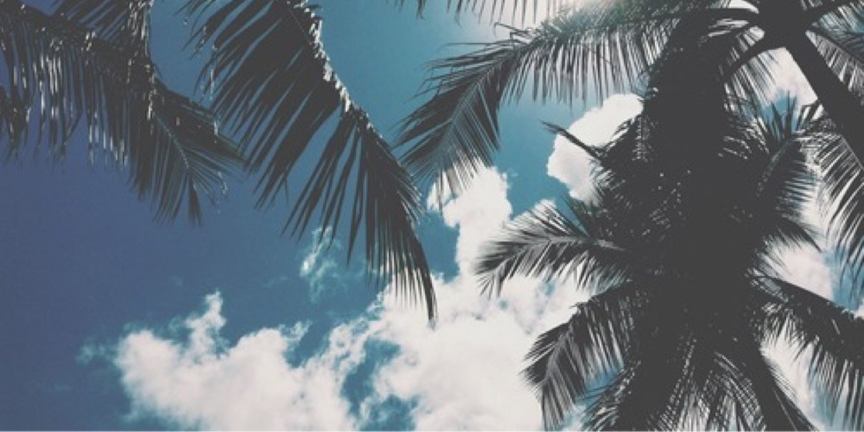 bexrriy's profile banner image