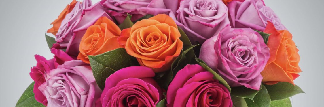 plainjanekei's profile banner image
