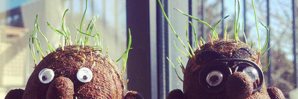 miyu507's profile banner image