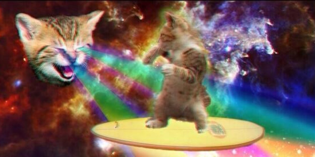 ktcrouse13's profile banner image