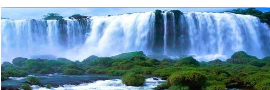 علي حامد banner