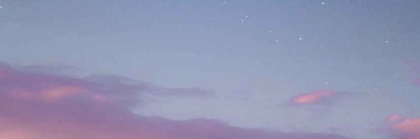 eleenaSUI's profile banner image