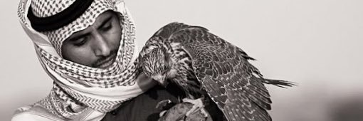 S_m_h69's profile banner image