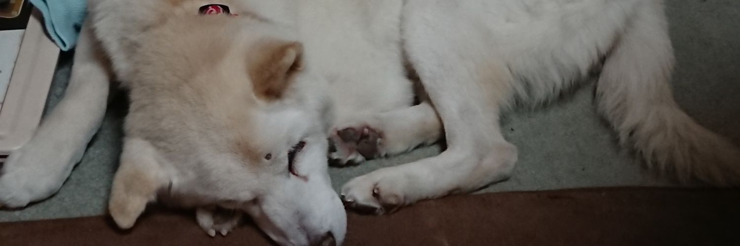 candymama8's profile banner image