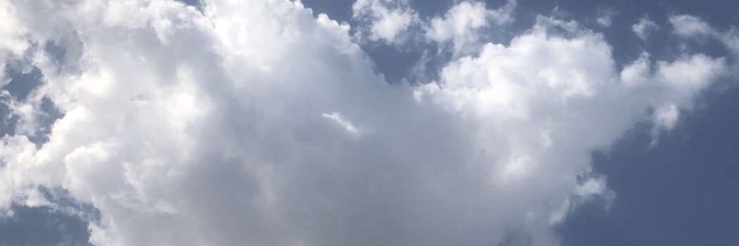 moneira07's profile banner image