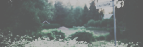 brooksnysgdr's profile banner image