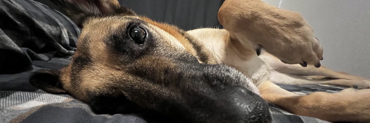 chrisq2000's profile banner image
