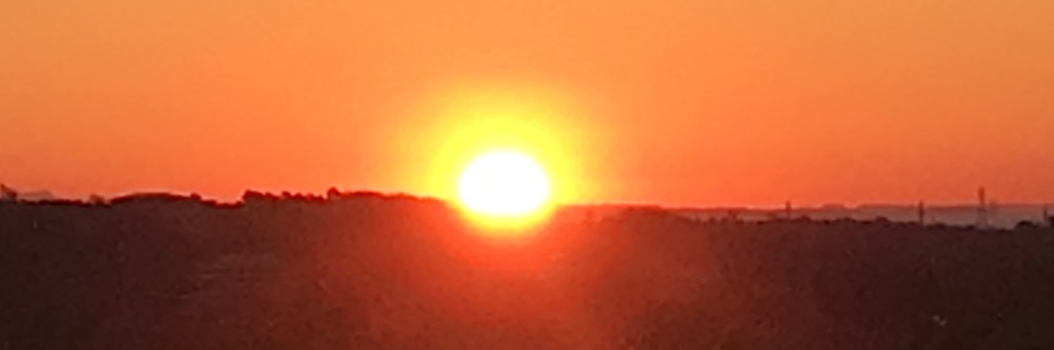 hazakura779's profile banner image