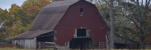 MisfitElectron Profile Banner