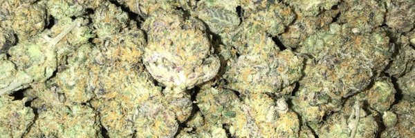 Aqato_ Profile Banner