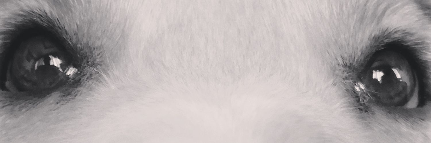 ivanlg82's profile banner image