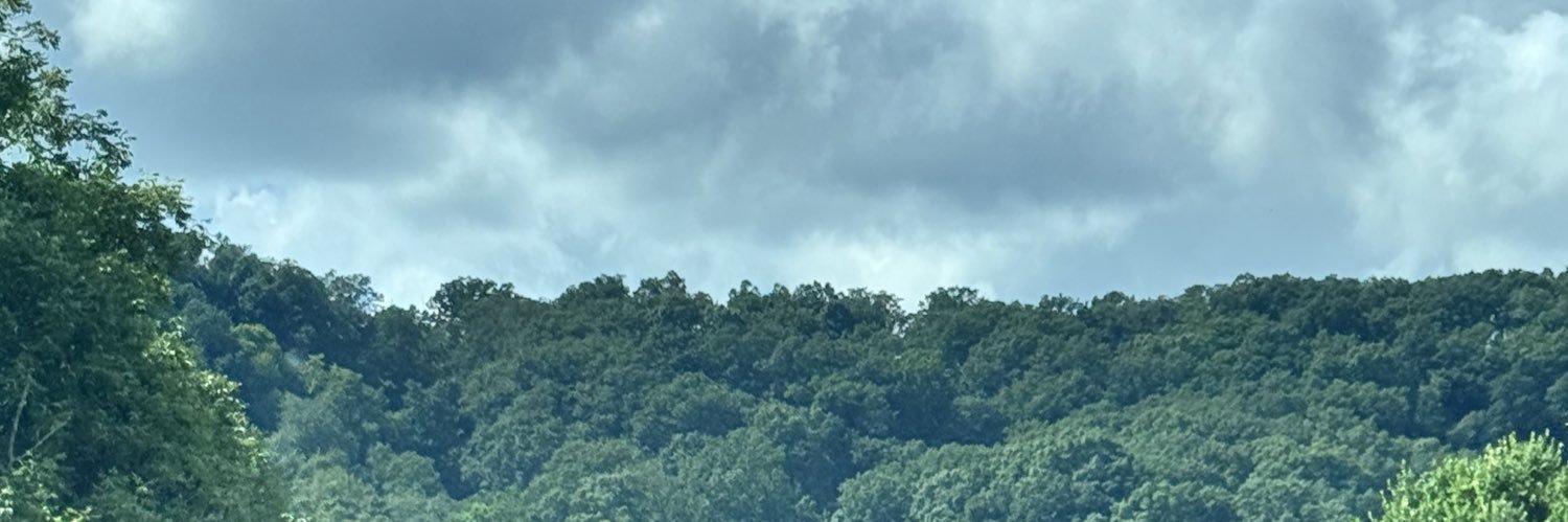 kittyfangzz's profile banner image