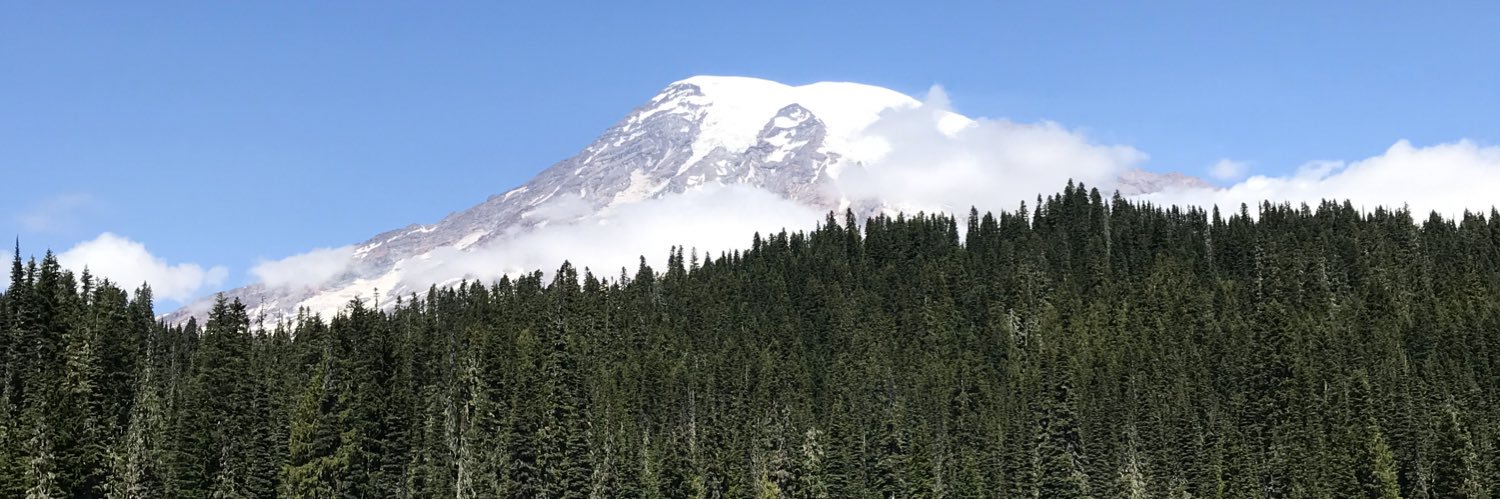 TaylorAltaffer's profile banner image