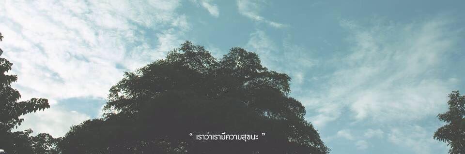 Lalittamp's profile banner image