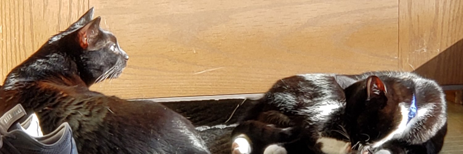 Mathematerial's profile banner image