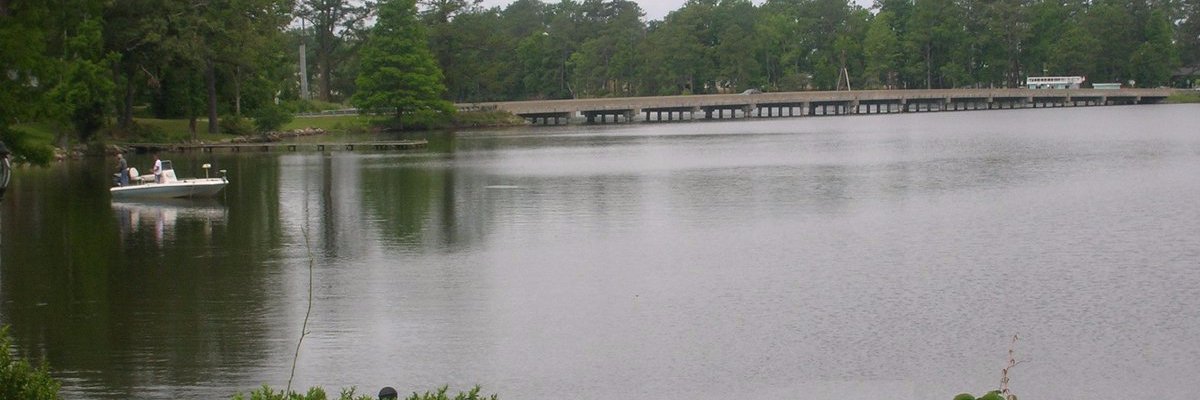 ⛤☃️Stone🎃Rhino🏮#NaNo☕ banner