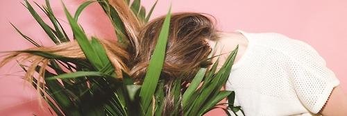 shaybrbgdr's profile banner image