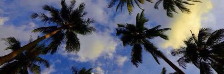 Laura_Diez's profile banner image