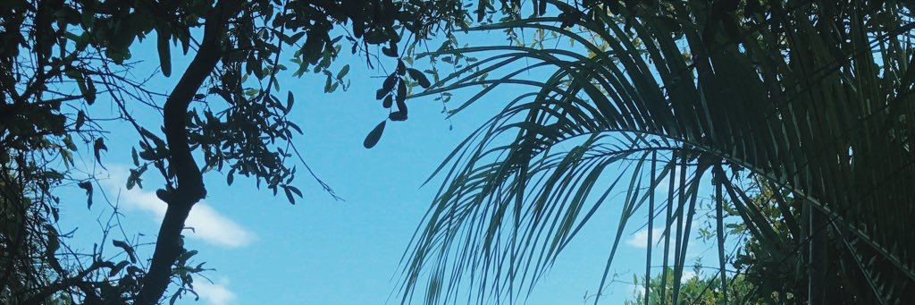 aeharlow12's profile banner image