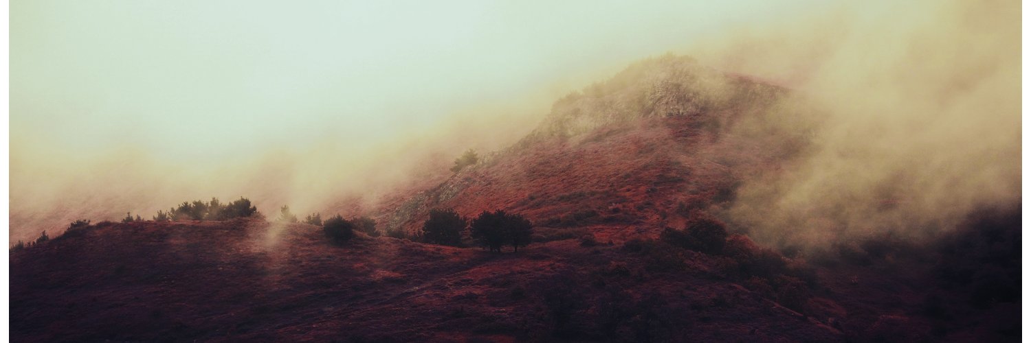Aitor Ormaetxea banner