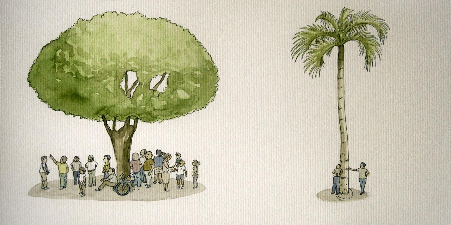 Fundación La Iguana banner