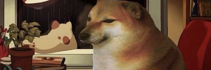 Nathan Müller banner