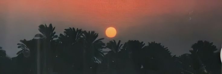 edewawa's profile banner image