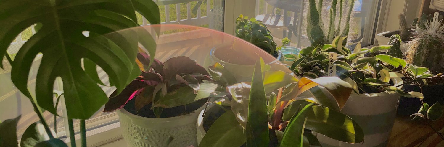 haley_shea6's profile banner image
