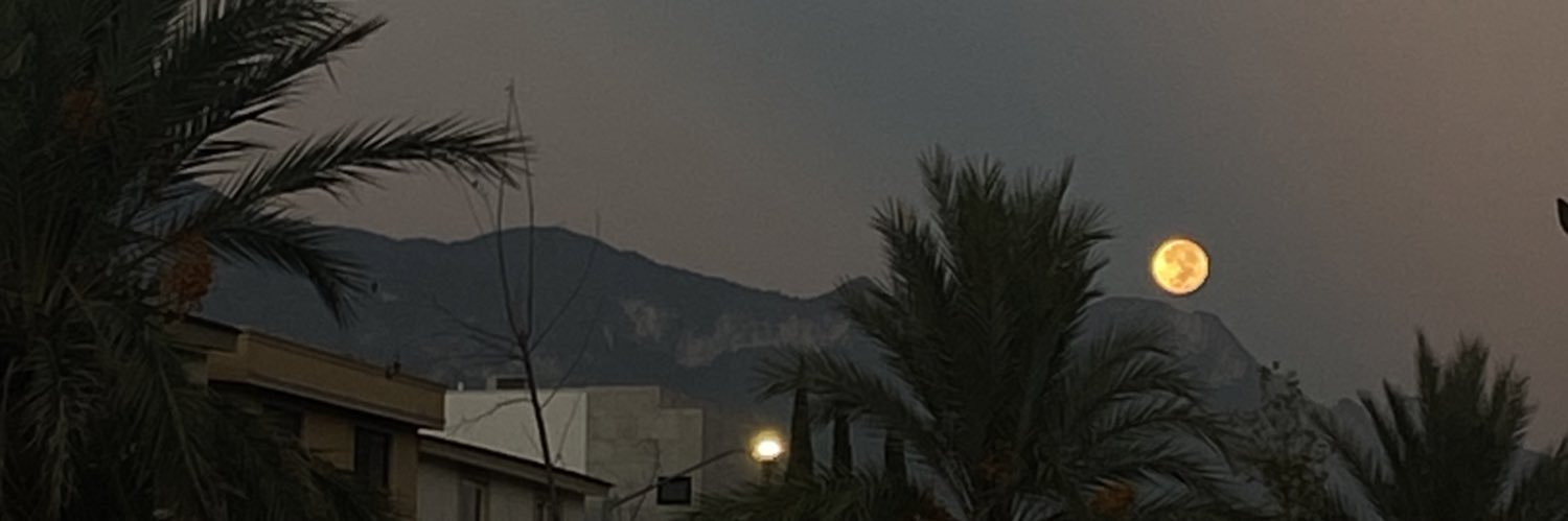 aleam00's profile banner image
