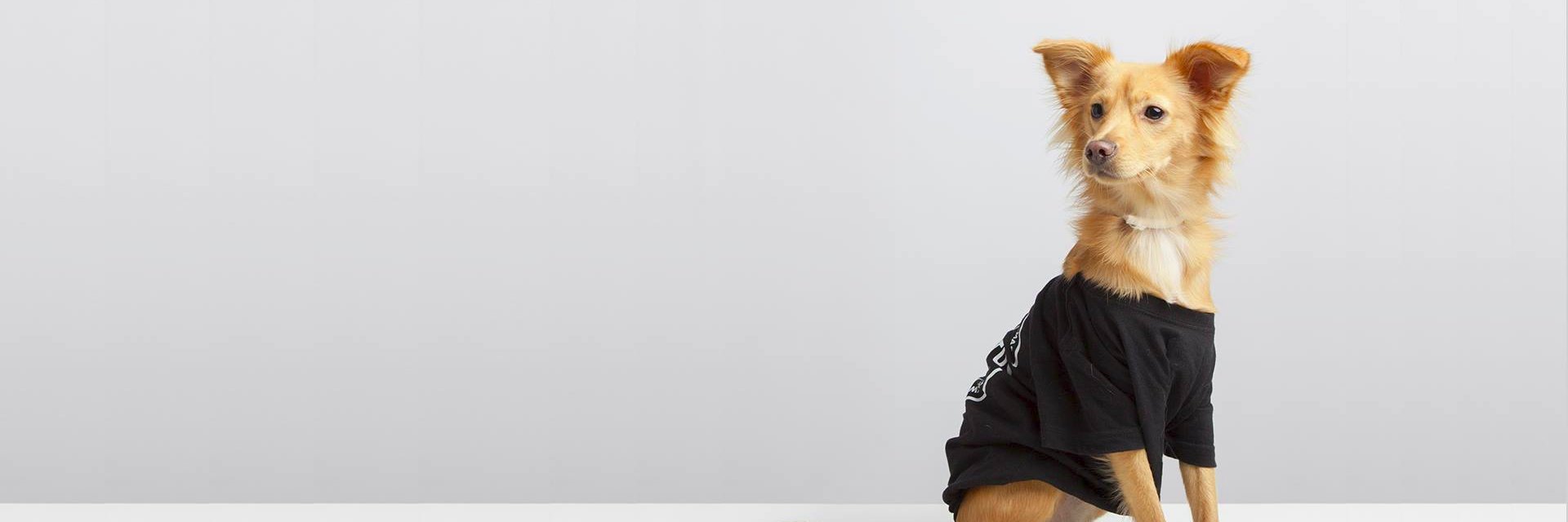 weareCactus's profile banner image