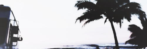 stylessnysgdr's profile banner image