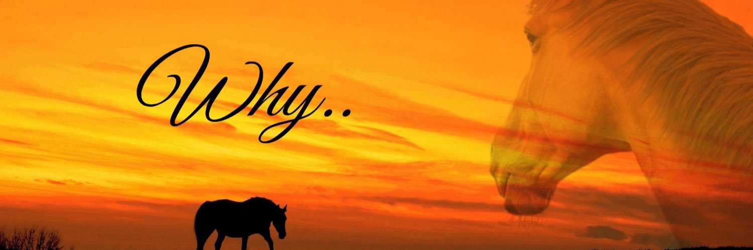 ana banner